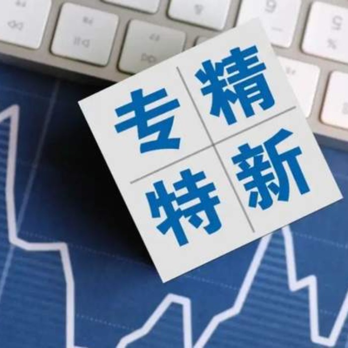 德瑪隆過(guò)濾設(shè)備公司獲得專(zhuān)精特新稱號(hào)